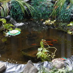 Water